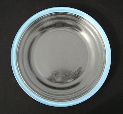 Clear Dinner Plate