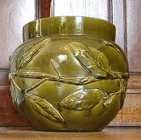 Fern Pot