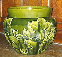 Fern Pot