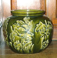 Fern Pot